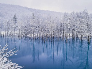 Голубой пруд на острове Хоккайдо