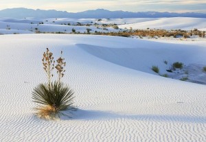 Пустыня Белых Песков - Фарфоровая пустыня4