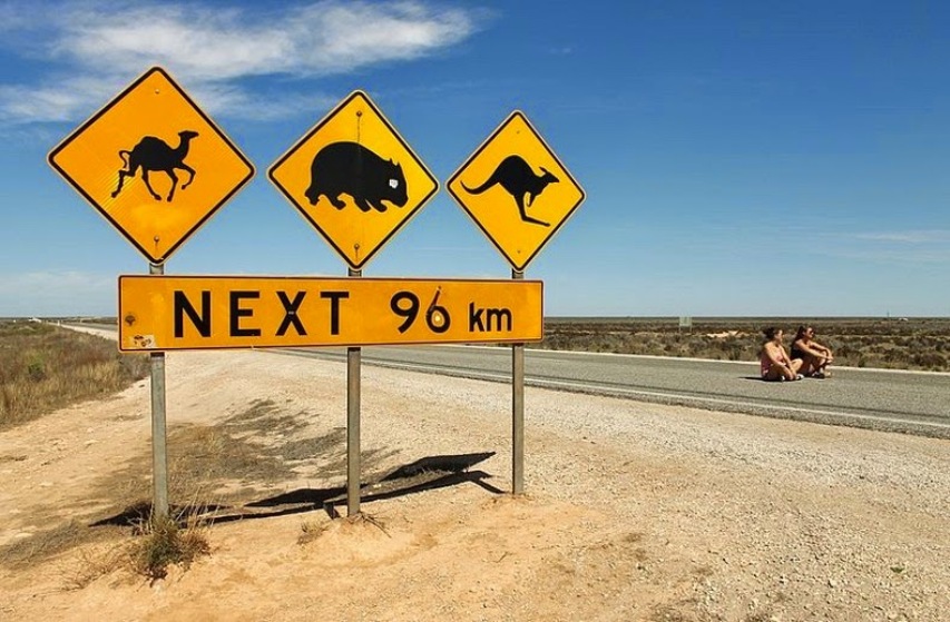 Картинки по запросу знаки на дорогах Австралии