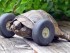 Черепаха на колесах