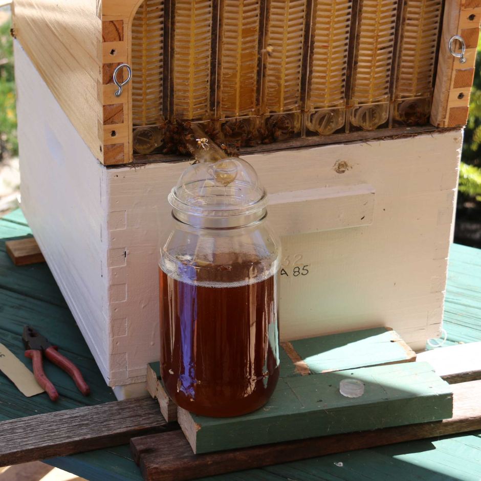 Собрать мед станет намного легче