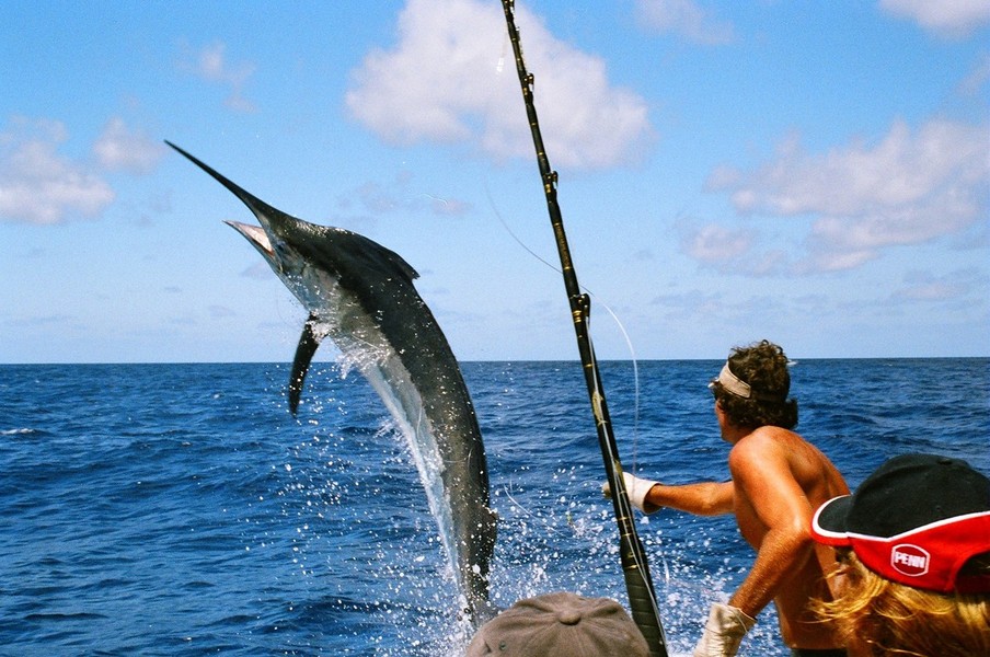 лучшая рыбалка на Маврикии