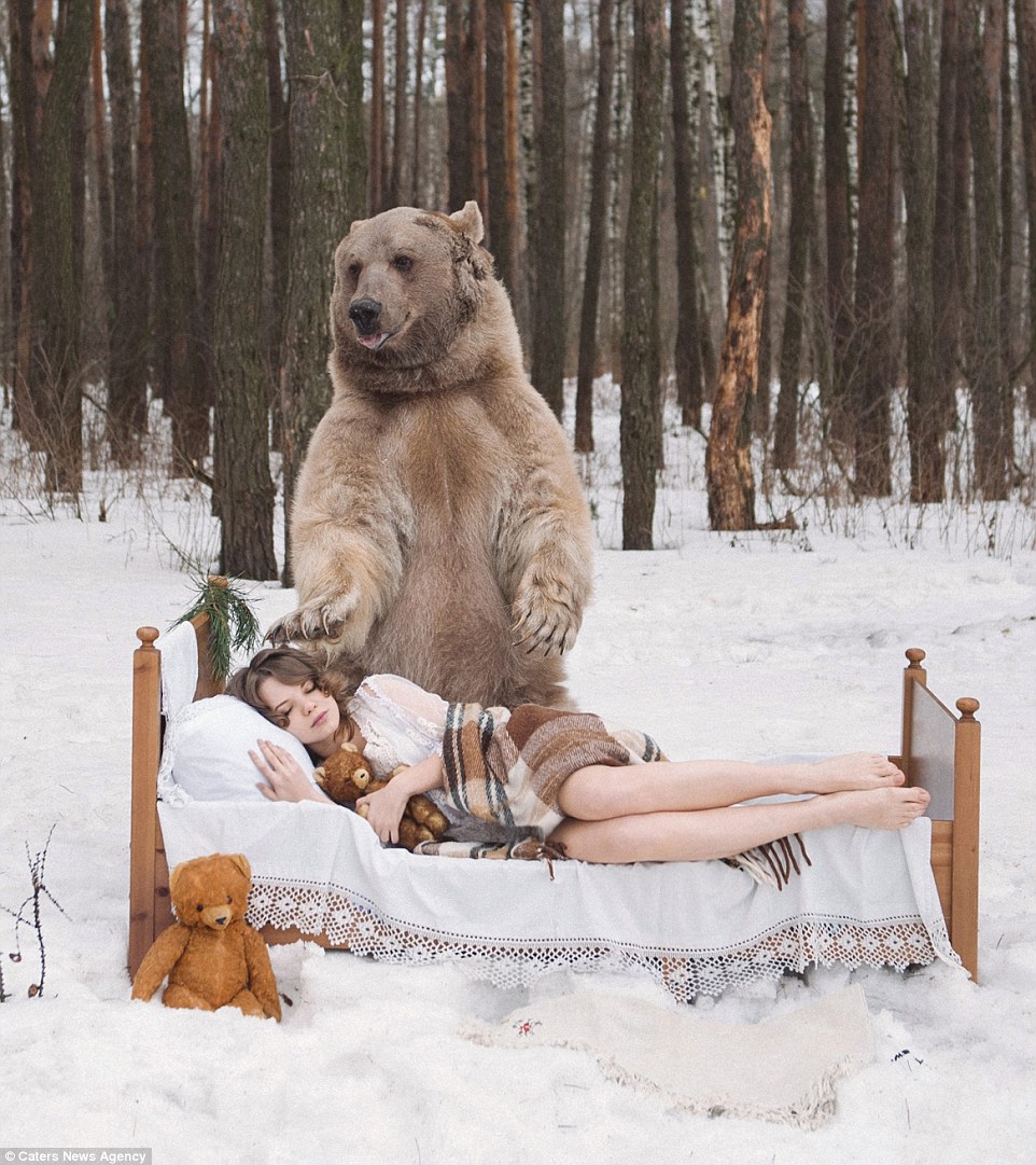 Фотосессия медведя