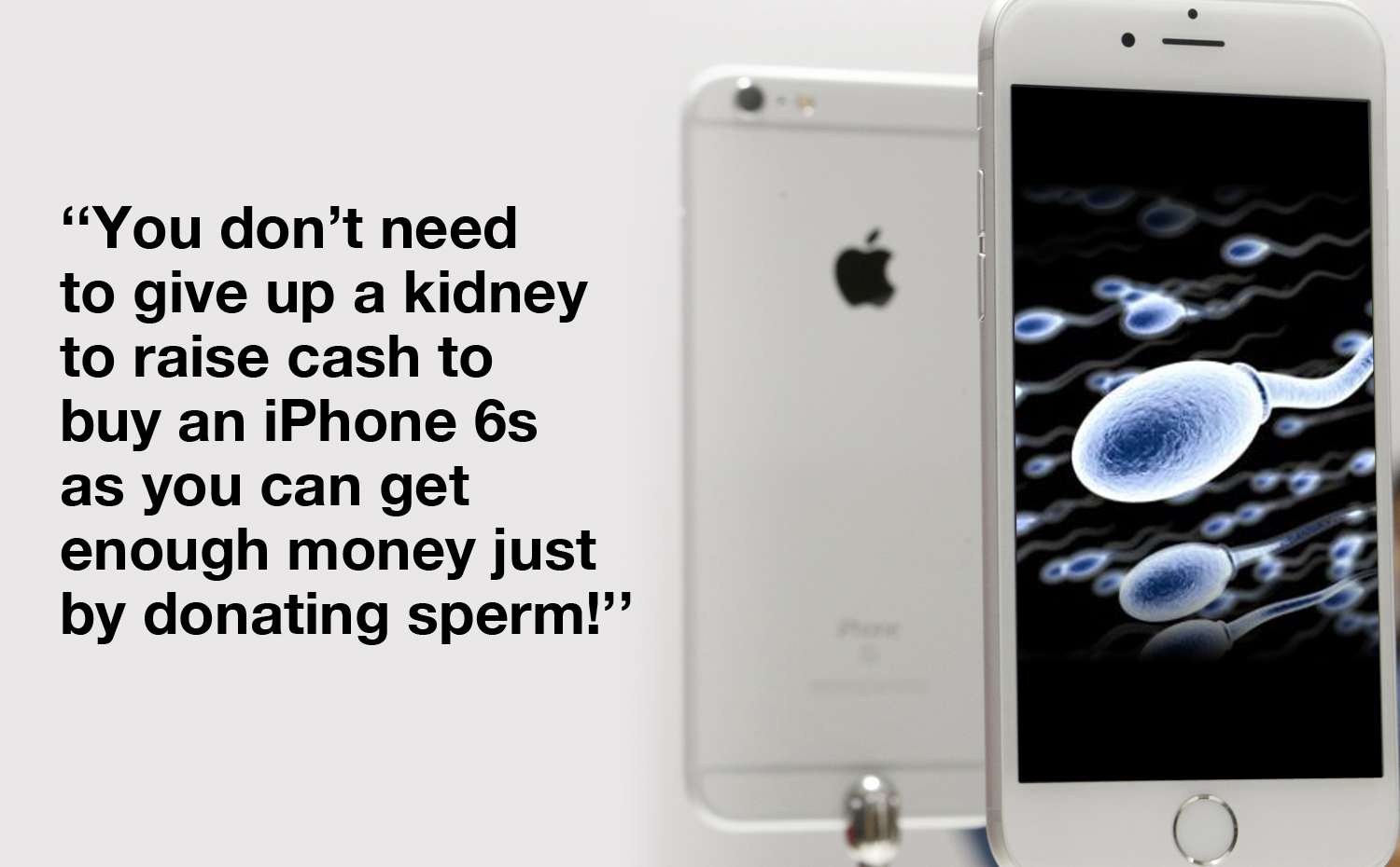 Two Chinese sperm banks Apple