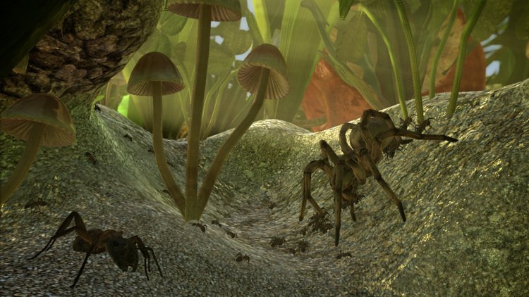 Ant Simulator2