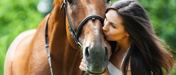Лошади умеют определять «позитивные лица» у людей