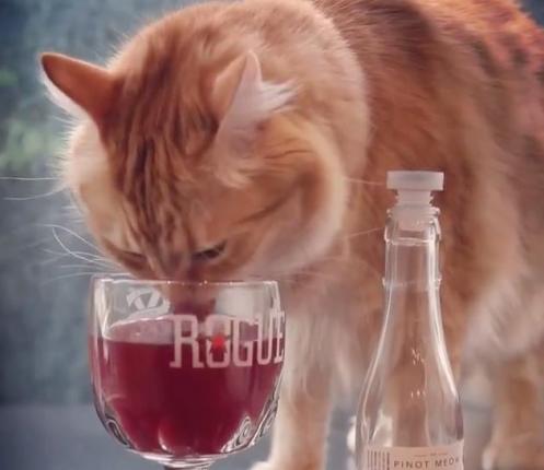 Colorado-company-releases-wine-for-cats