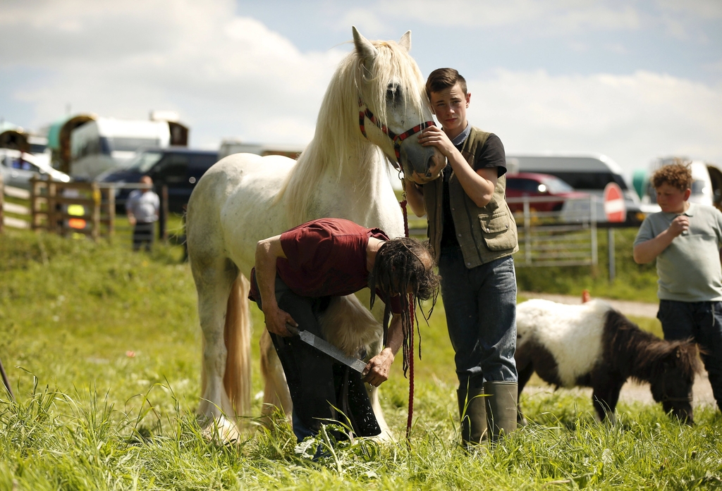 A traveller holds his horse as a blacksmith works on its feet at Appleby-in-Westmorland