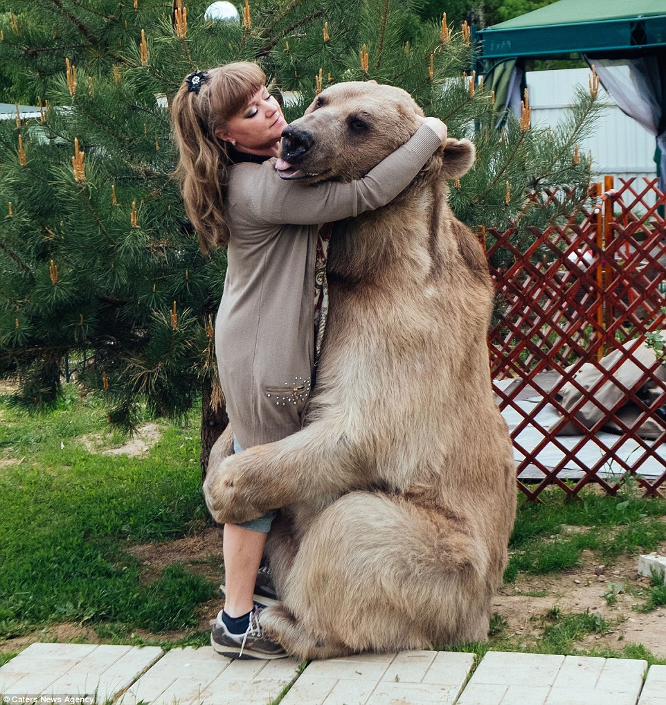 Любимые обнимашки медведя