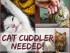 cat_cuddlerneeded2