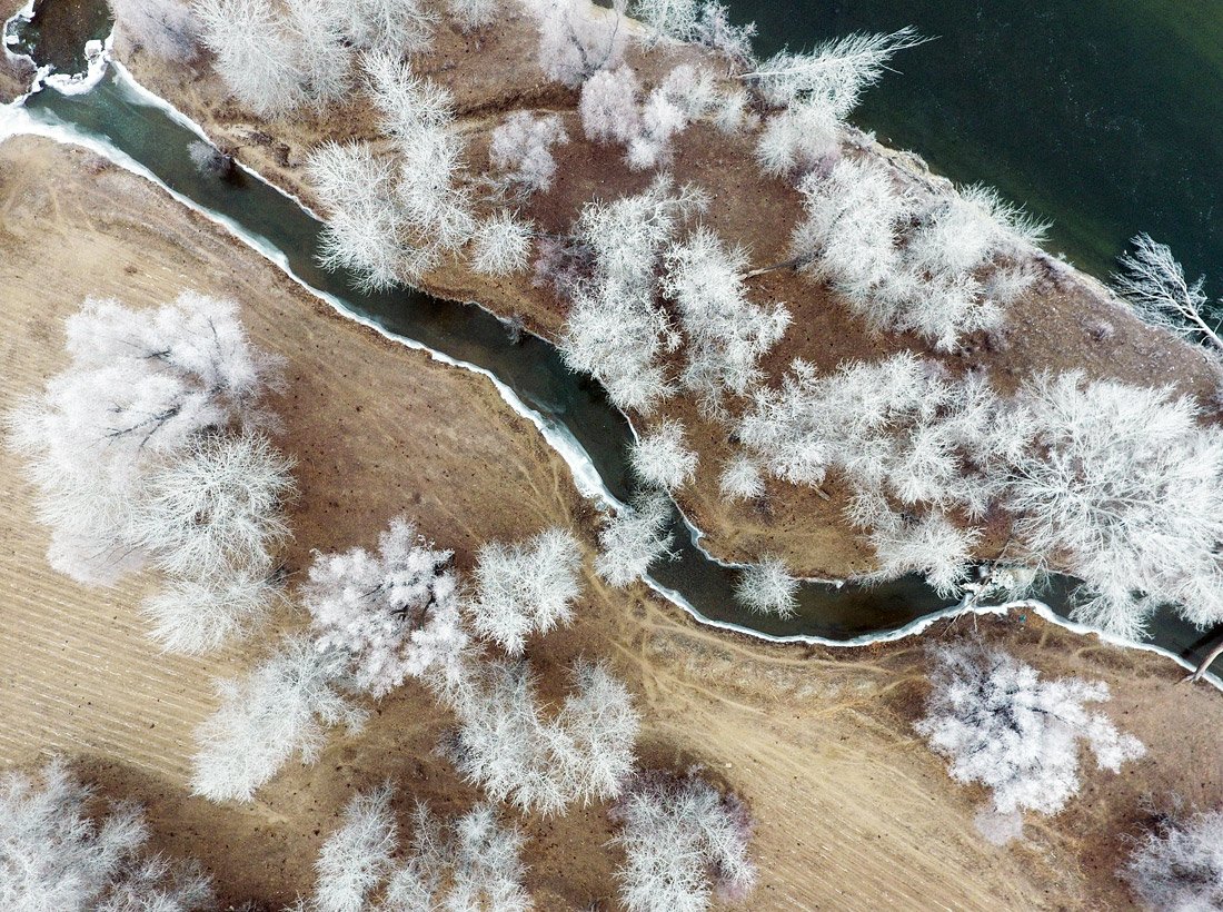 Деревья-перья на Иртыше. Снежная красота