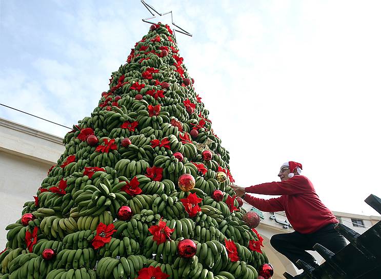В Ливане соорудили самую вкусную елку в мире
