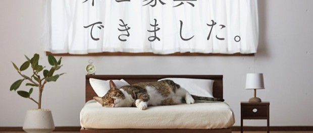Японская компания выпустила специальную линию мебели для кошек