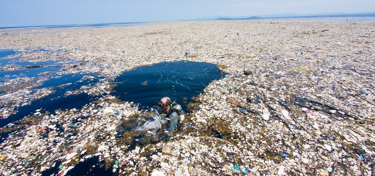 пластиковое "очарование" океана