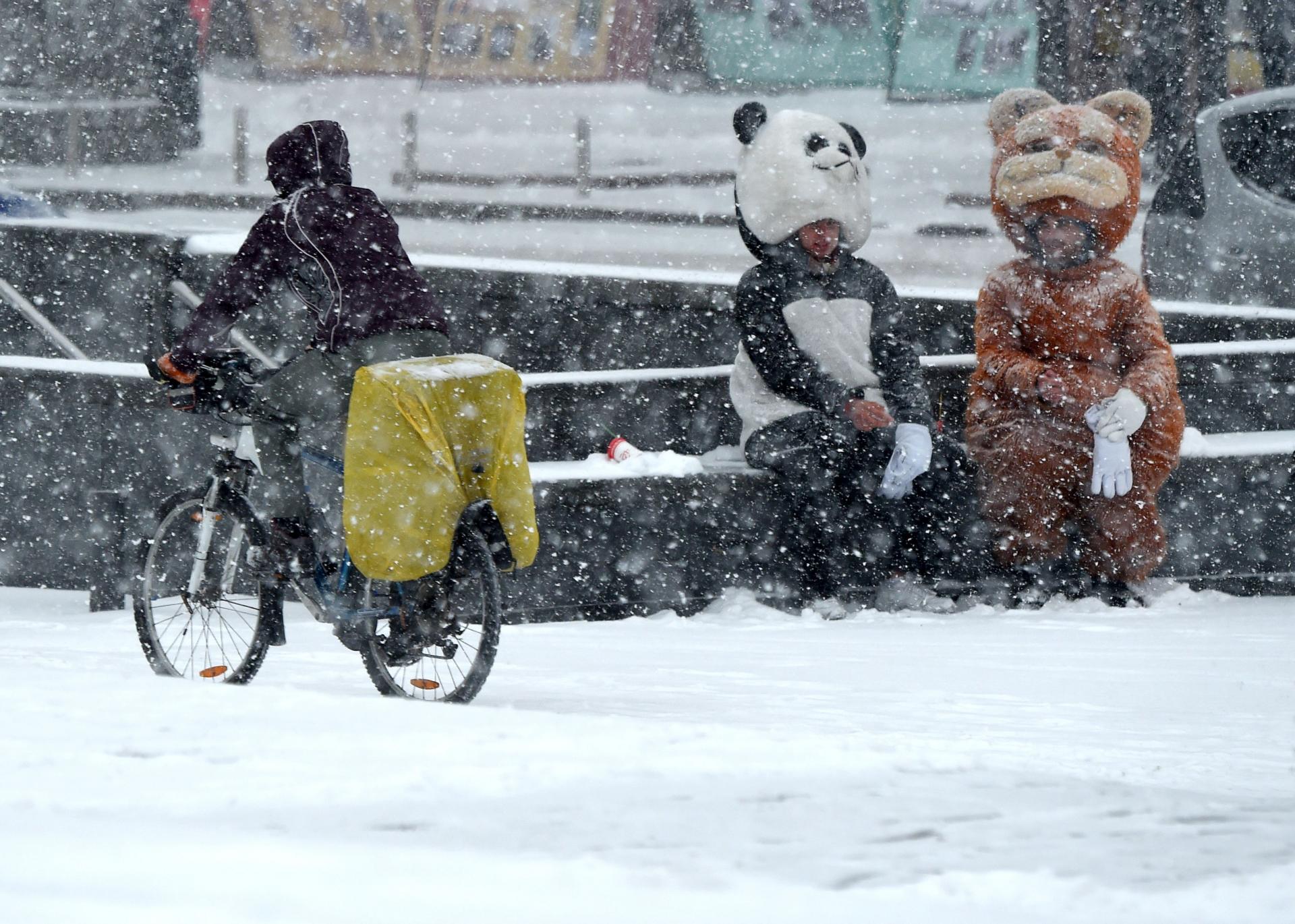 Первый снег в Европе выпал в Киеве