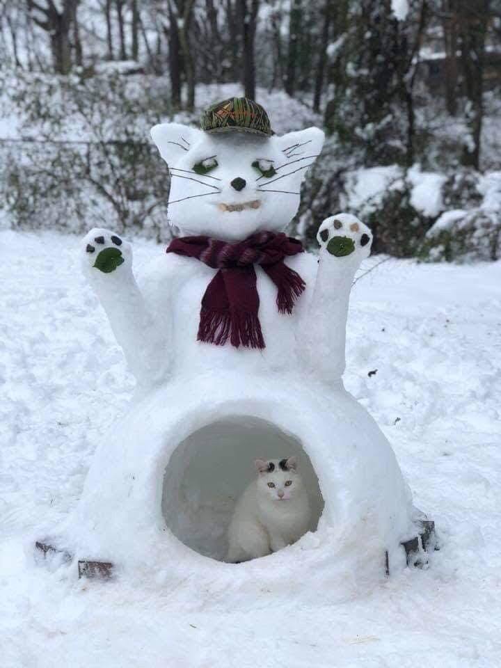 Оригинальный снеговик-котовик