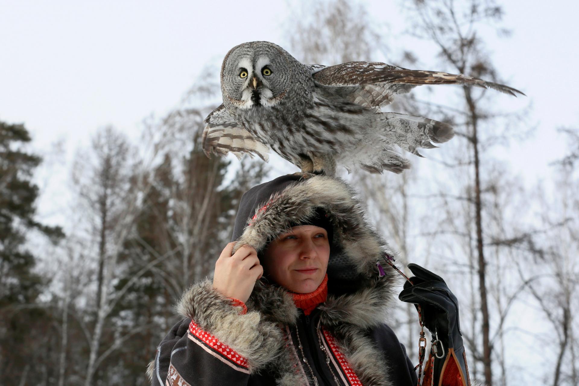 Тренировка совы в Красноярском зоопарке