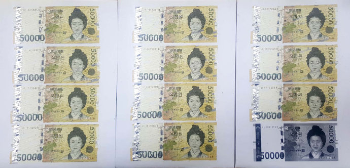 shredded banknotes2