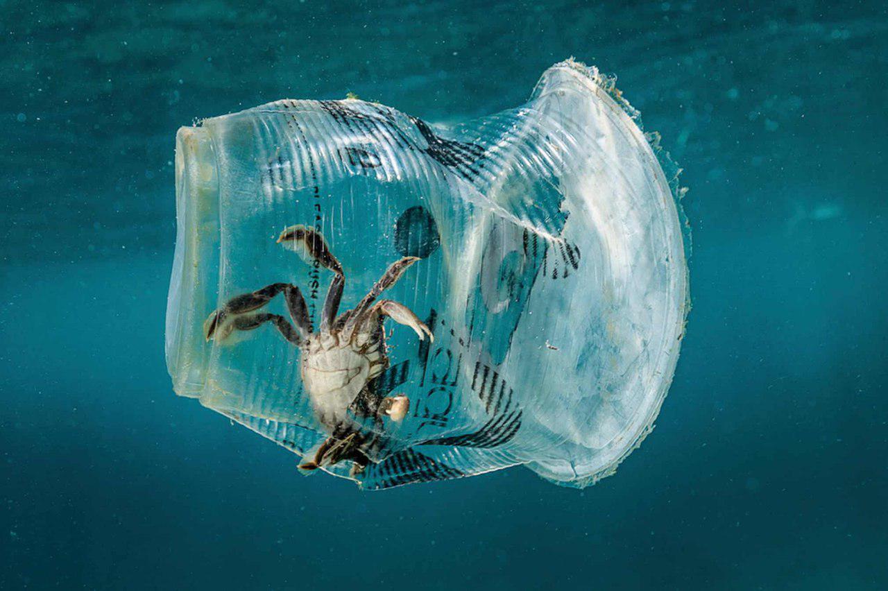 пластик менее вреден природе