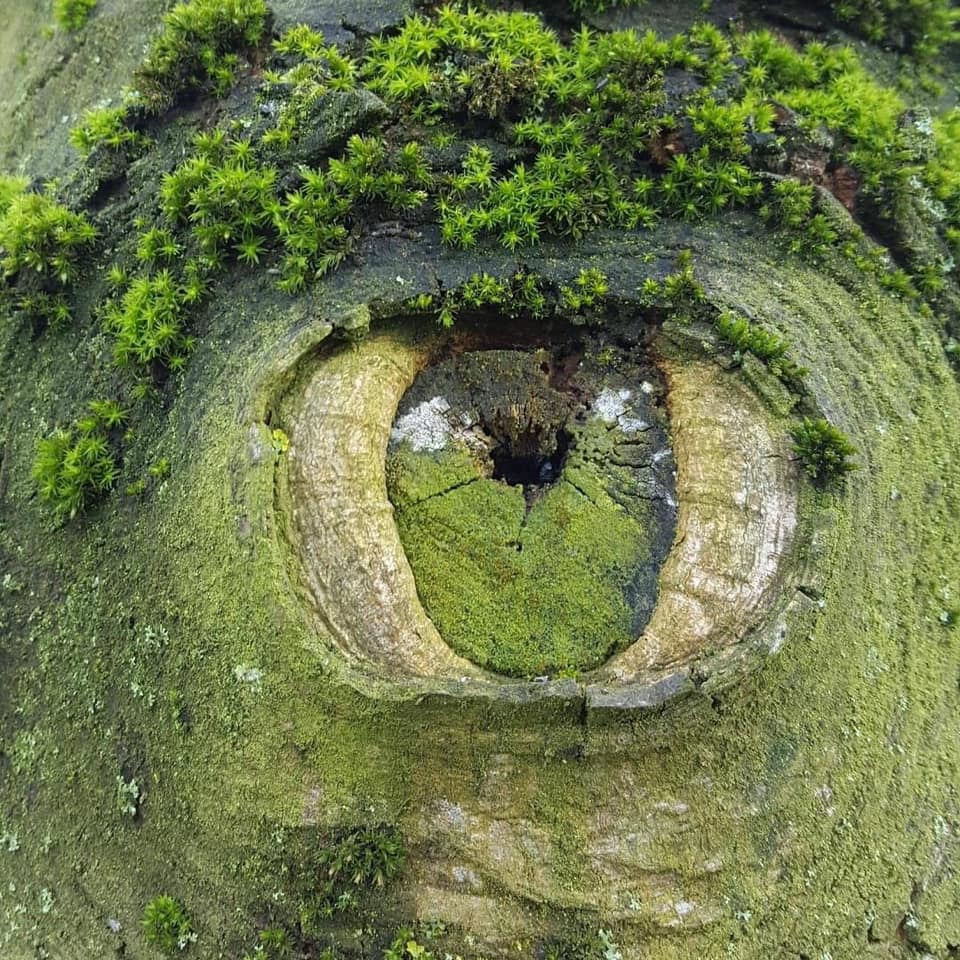 Глаза Земли
