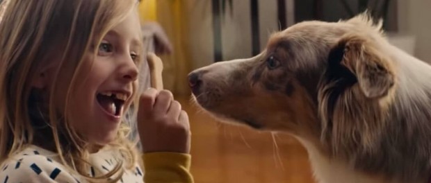 Великолепная история собачьей любви в рекламе IKEA