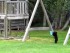 Baby Bear Cubs play with swing