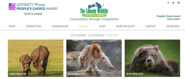 В конкурсе Comedy Wildlife Photo Awards определились финалисты