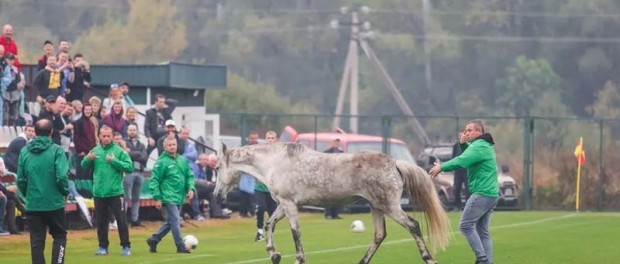 На матч квалификации Сурдлимпийских игр хозяева выпустили коня и собак
