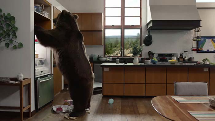 Bears break into home2