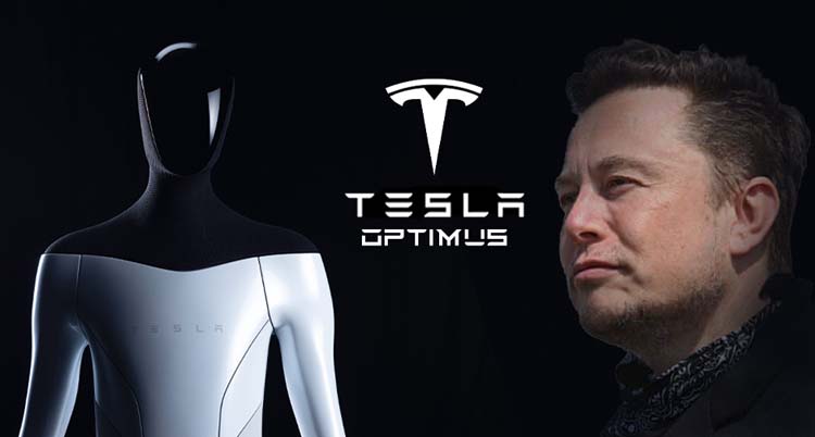 Tesla Bot Optimus