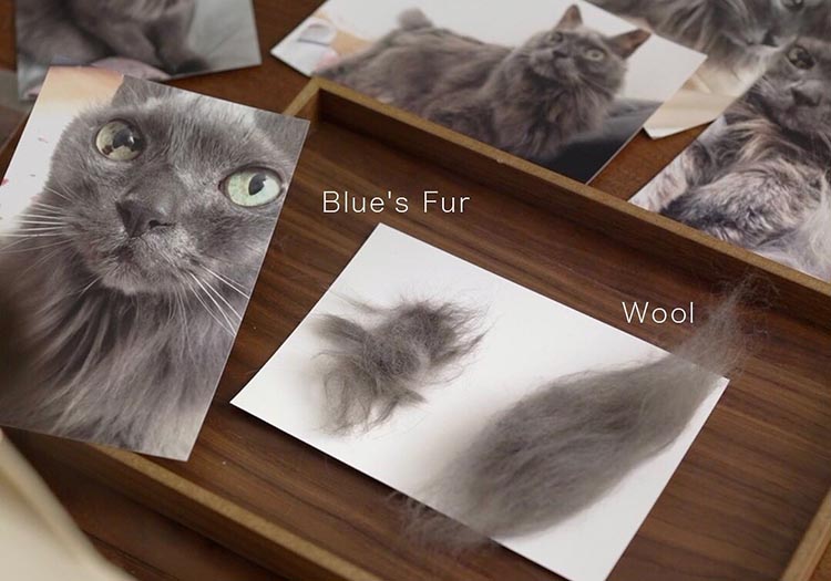 трехмерные портреты кошек мастера Wakuneco