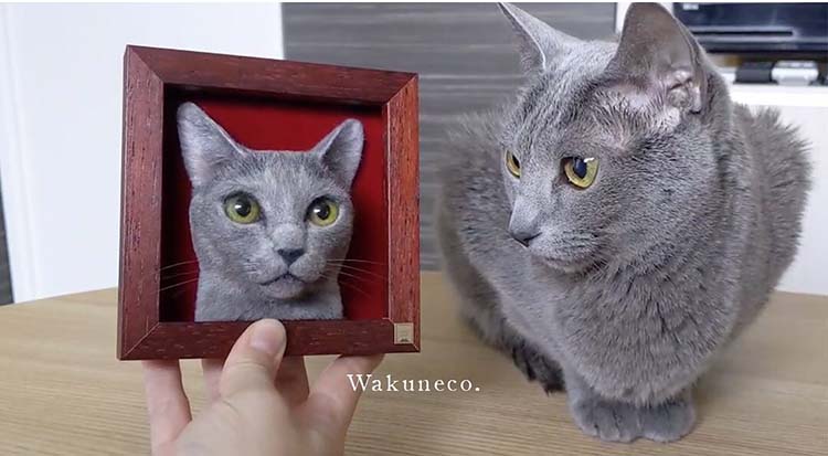 Новый японский тренд – трехмерные портреты кошек мастера Wakuneco