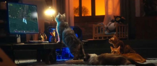 Классная реклама World of Warcraft с участием котов