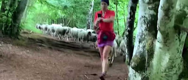 Француженка повеселила соцсети пробежкой с отарой овец