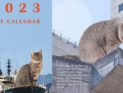 Инженерный корпус армии США выпустил оригинальный календарь на 2023