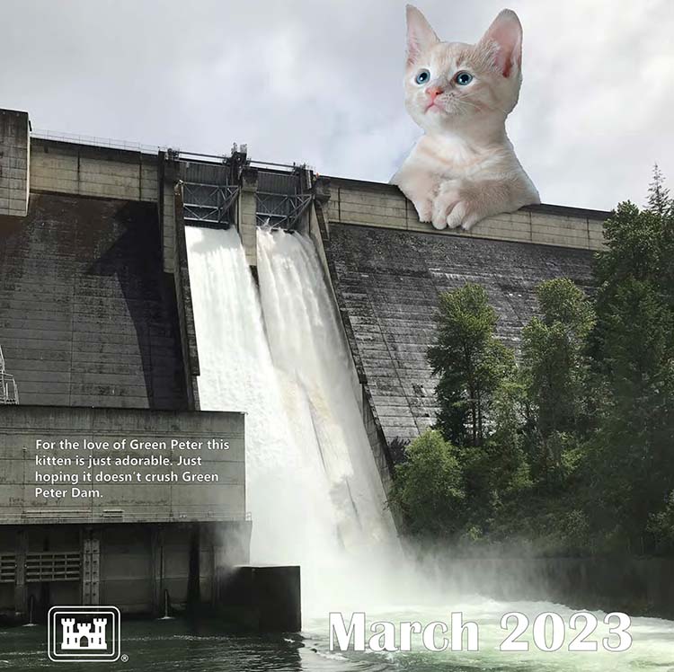 2023 Cat Calendar