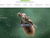 итоги конкурса смешных фото Comedy Wildlife Photography Awards