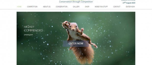 Самые смешные фото животных от Comedy Wildlife Photography Awards 2022
