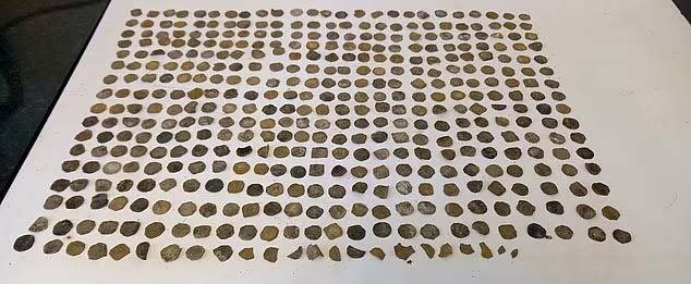 865-year-old-coins2