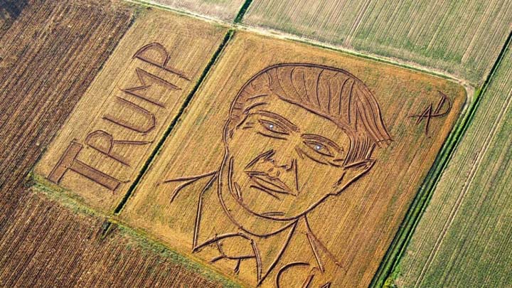 превратил поле в портрет Дональда Трампа