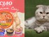 реклама кошачьего корма от ciao