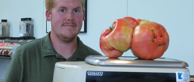 Огород порадовал американца гигантским томатом