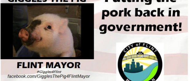 Американский городок может возглавить свинья