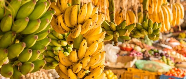 Индийский метод перевоспитания преступников – закормить бананами до отвала