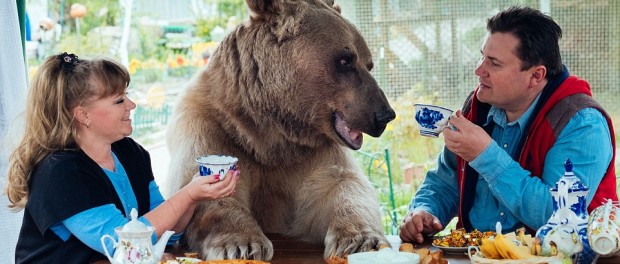 Русская семья усыновила медведя