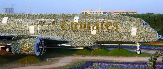В Дубаи появился самый большой в мире цветочный самолет