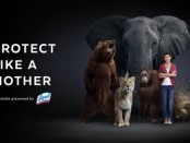 Lysol_Protect_Like a Mother2