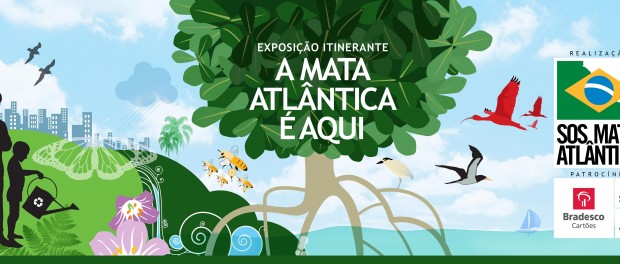 Креативная помощь в спасении Атлантического леса Бразилии