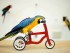 parrot ride a bike
