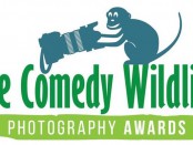 Comedy-Wildlife1